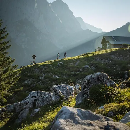 Appartement Gipfelblick Kirchdorf in Tirol